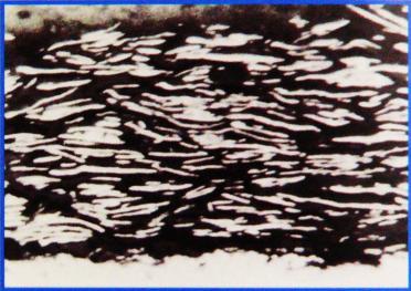 Liquid stainless discount steel paint australia